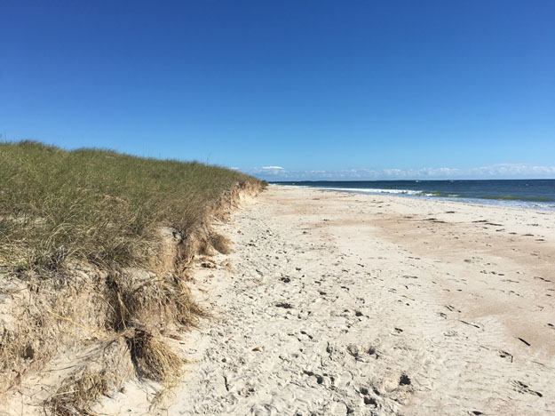 Beach Width Provides Greatest Protection Against Flooding, Erosion During Long Storms