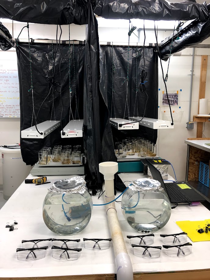 All work was performed in an environmental chamber located at the NCCOS Charleston laboratory. Environmental factors, such as light and temperature were manipulated during the exposures.
