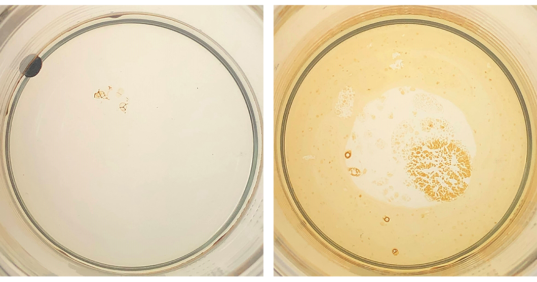 Left: Formation of a tar ball after oil has been exposed to UV light for four days. Right: Oil that has not been exposed to UV light and still remains sheen-like after four days. 