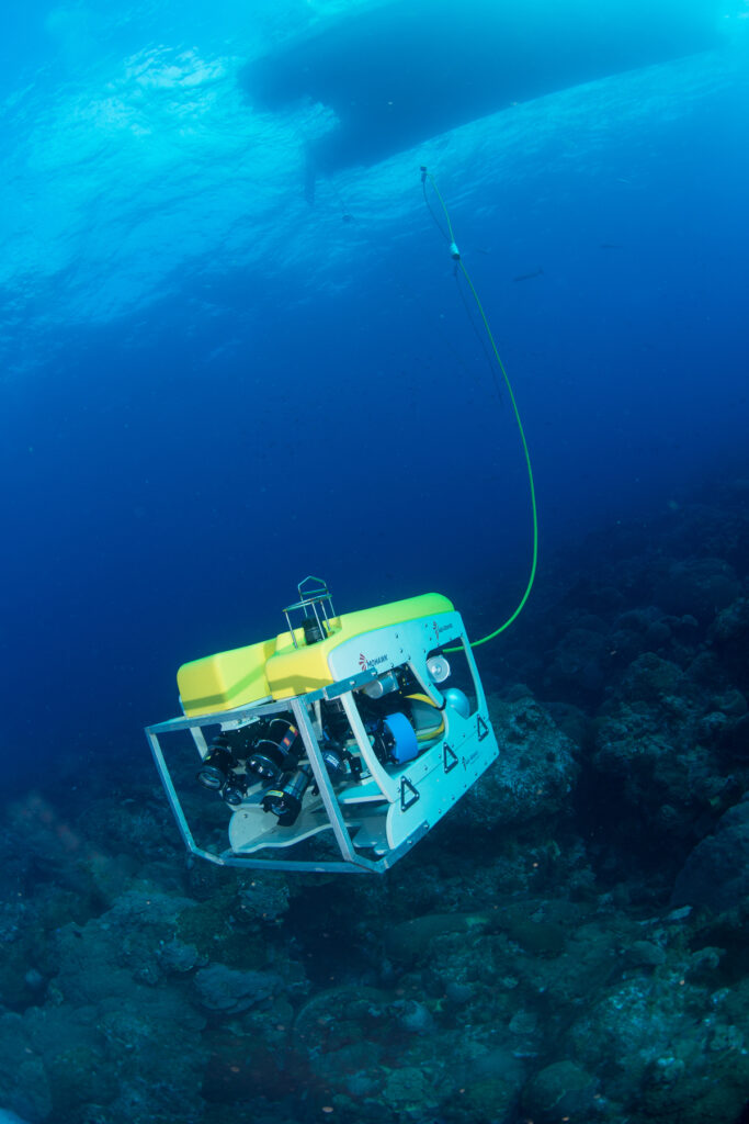 Scientific Cruises Set Sail to Help Restore Open Ocean Communities ...