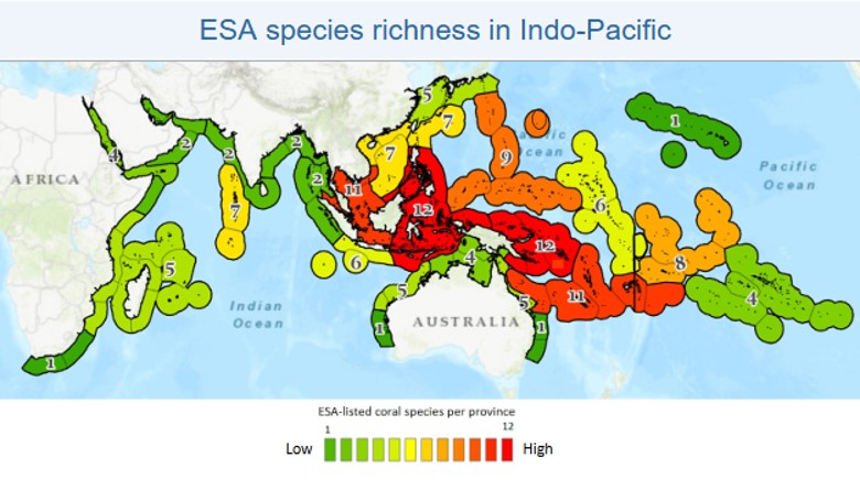 Map of low to high presence of corals listed on the Endangered Species Act in the Pacific and Indian oceans