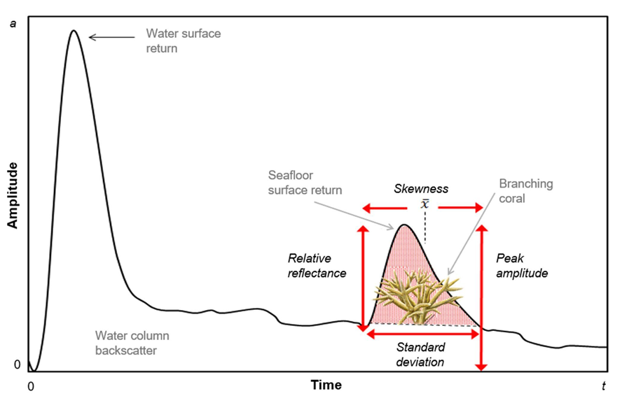 This diagram shows a bathymetric light detection and ranging (lidar) waveform. The shape of the seafloor surface return may be unique if branching corals are present, and may be used to predict their presence in other geographic locations. 