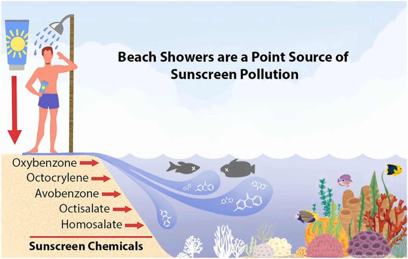 Research Determines Beach Showers are a Source of Sunscreen Pollution to Hawaii Coral Reefs
