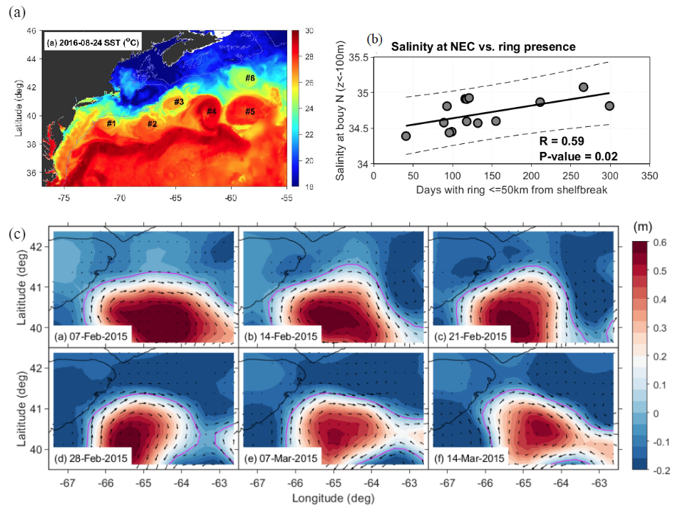 Gulf Stream Warm Core Rings Can Enhance Slope Water Intrusion into Gulf of Maine Via Wave Activities