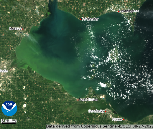 NOAA Announces FY23 Notice of Funding Opportunity to Advance Harmful Algal Bloom Monitoring Technologies