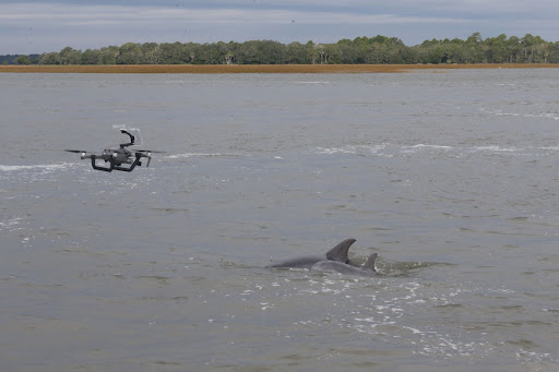 Successful Preliminary UAS Flights Collect Dolphin-blow Microbiome Samples