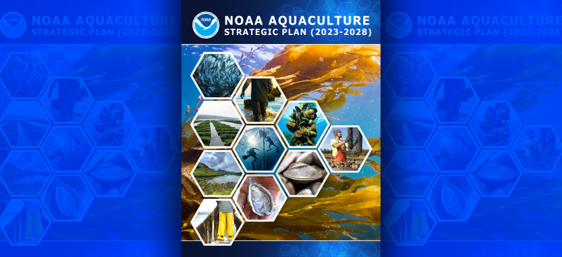 NOAA Announces Five Year Strategic Plan for Aquaculture