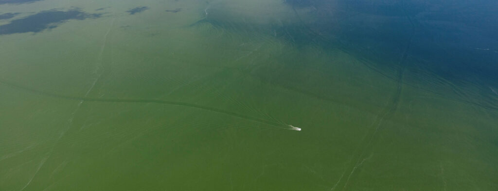 Aerial view of large, green body of water