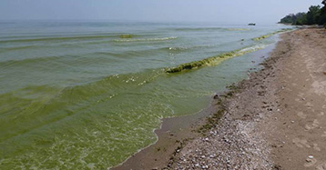 LakeErie_HAB