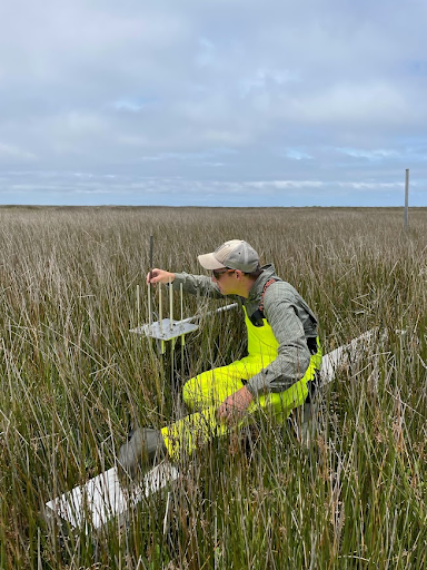 Researchers Document Recent Elevation Trends in North Carolina Coastal Wetlands