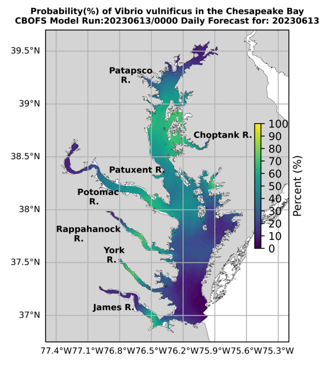 Forecast Predicts Occurrence of Pathogenic Vibrio Bacteria in Chesapeake Bay Waters