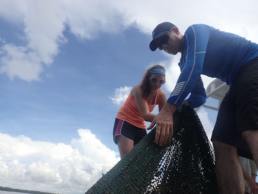 Two people pull a fish net.
