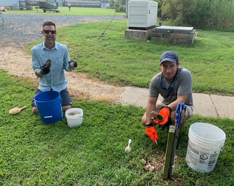 Brandon Puckett (left) and Jason Spires (right) process the final sample of oysters to complete the oyster growth curve used to calibrate the FARM model, July 18, 2023.