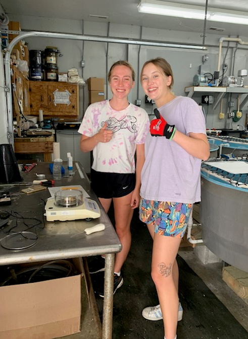 Seychelle Brainard (left) and Faith McCarthy (right) shucking and weighing oysters at the Cooperative Oxford Laboratory for the project’s final oyster sampling and shucking event, July 18, 2023.