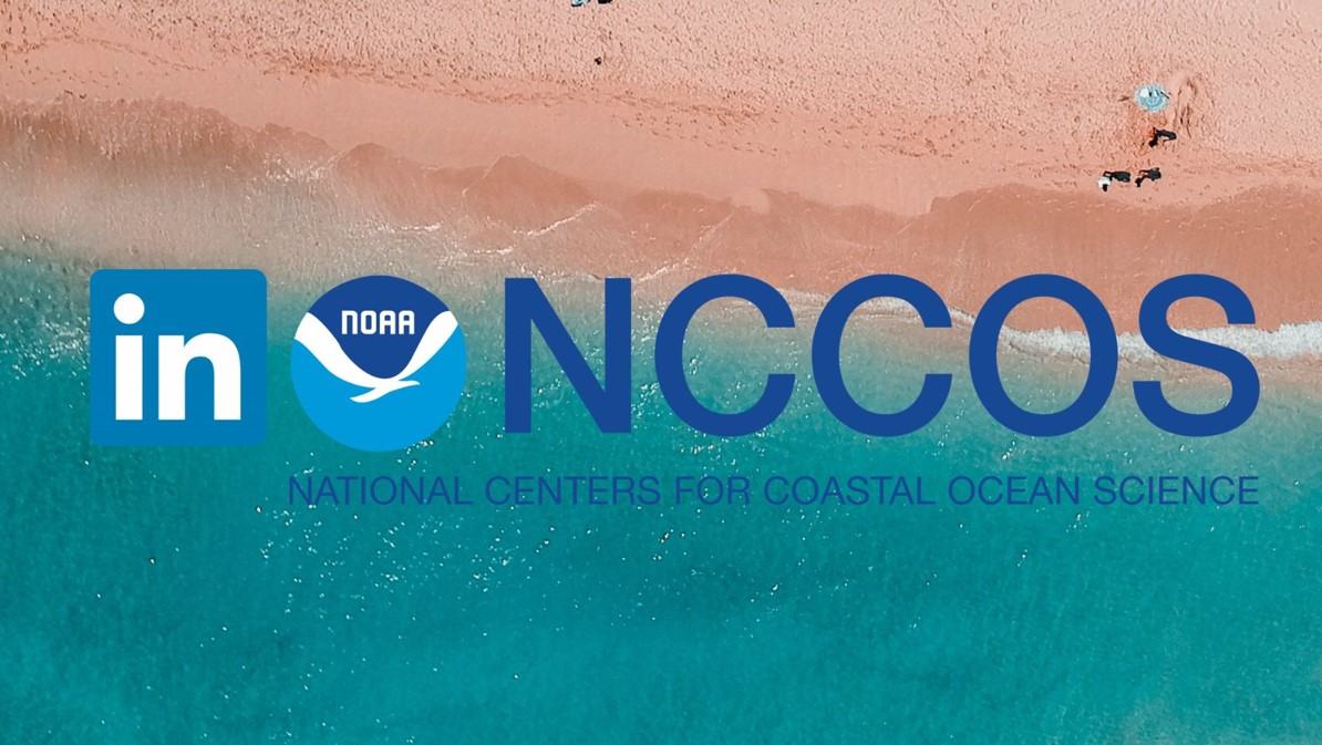 LinkedIn logo next to NOAA logo with letters NCCOS and National Centers for Coastal Ocean Science written over water running up on a beach.