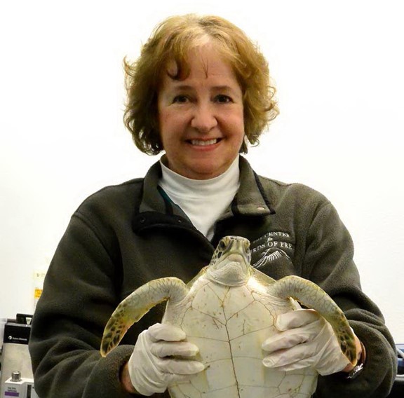 Woman smiling at camera while holding a sea turtle
