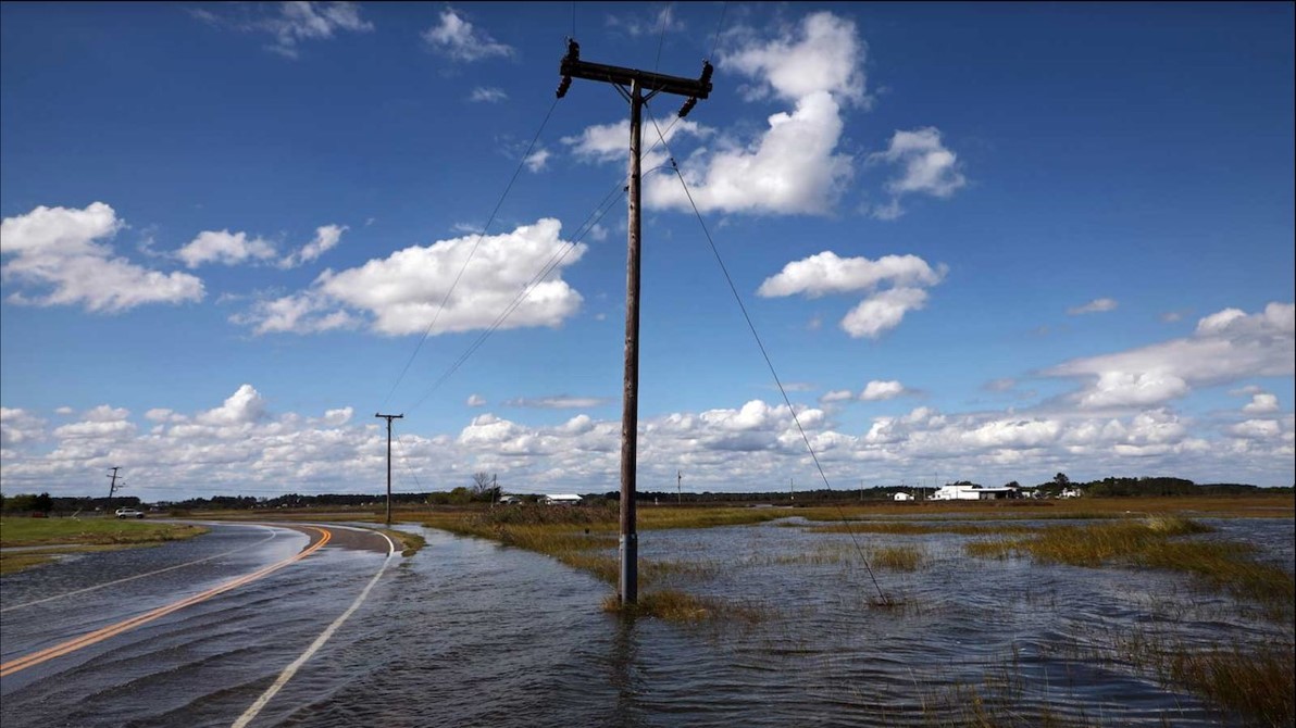 A flooded road next to a marsh