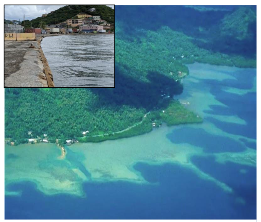 Mangroves and coral reefs protect shorelines and infrastructure from flooding impacts.