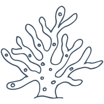 branching coral graphic