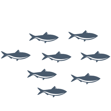 school of fish graphic