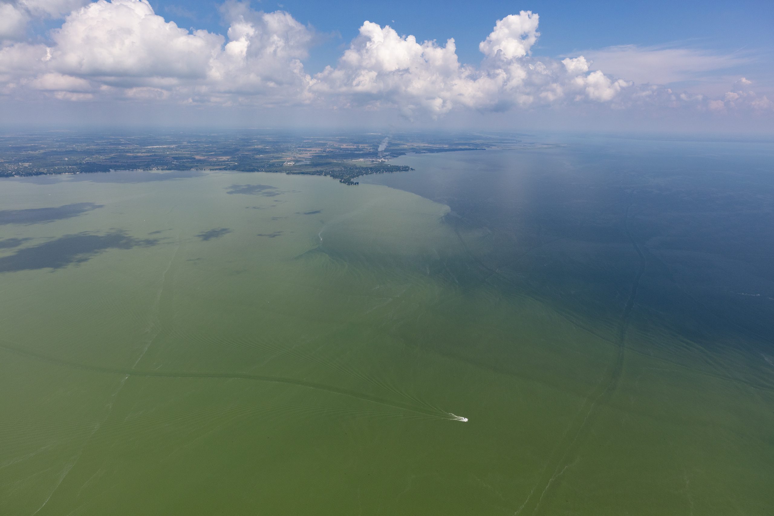 aerial view of green water in a large body of water. Land is in the distance