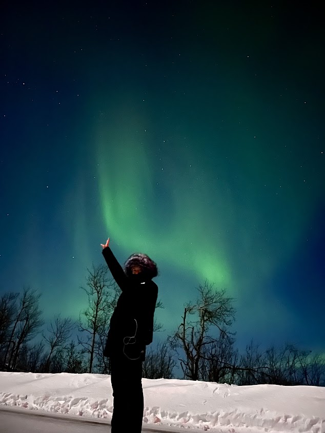 Person stands in snow and points to the aurora borealis in the sky