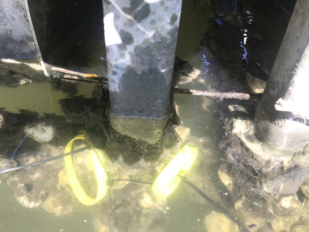Yellow circular bands under water next to metal columns