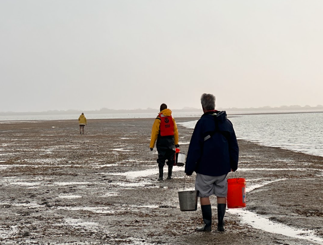 Three scientists walking along barrier island mud flat near Corpus Christi, Texas, carrying buckets to collect mussels.