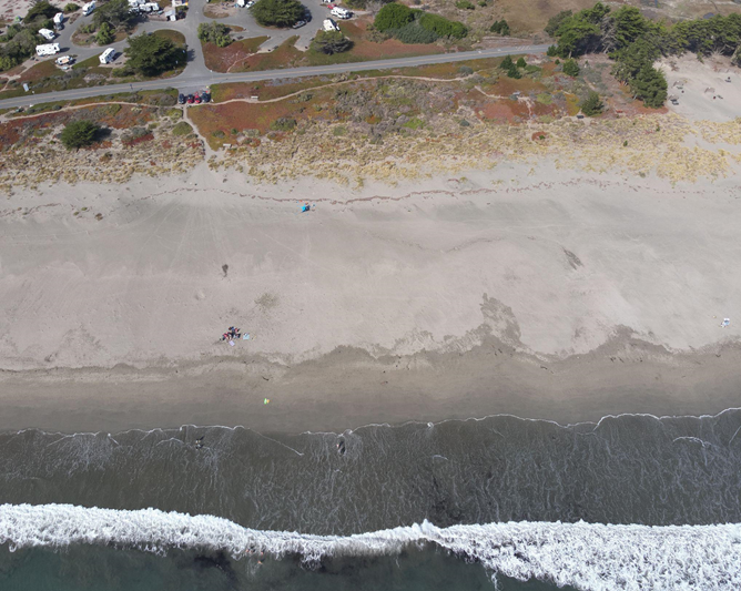 Aerial view of Doran Beach, California, capturing waves breaking on the beach; a wide, sandy beach; and a row of dunes. Behind the dunes is a road with homes.
