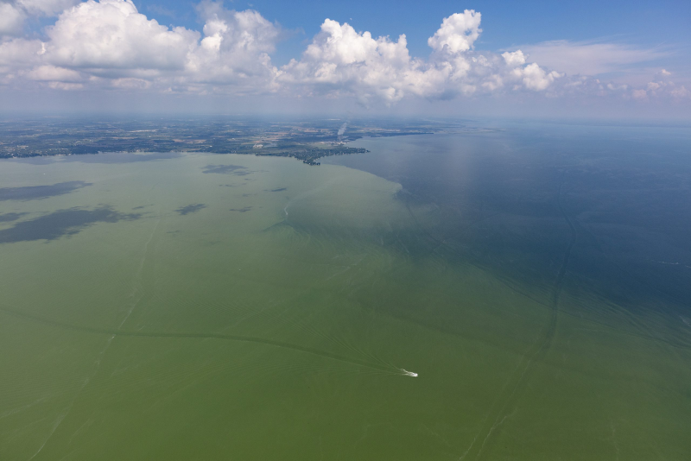 Aerial view of a large body of green water caused by a harmful algal bloom. Land off in the distance