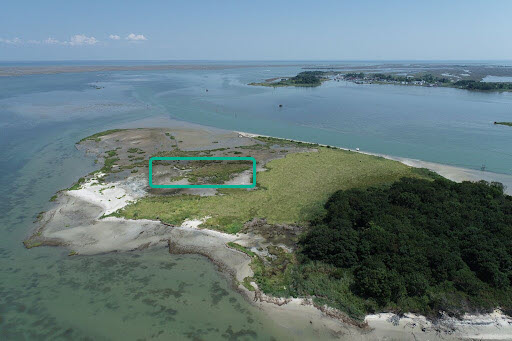 The "after" photo: A rectangle drawn over a portion of marsh grass on an island.