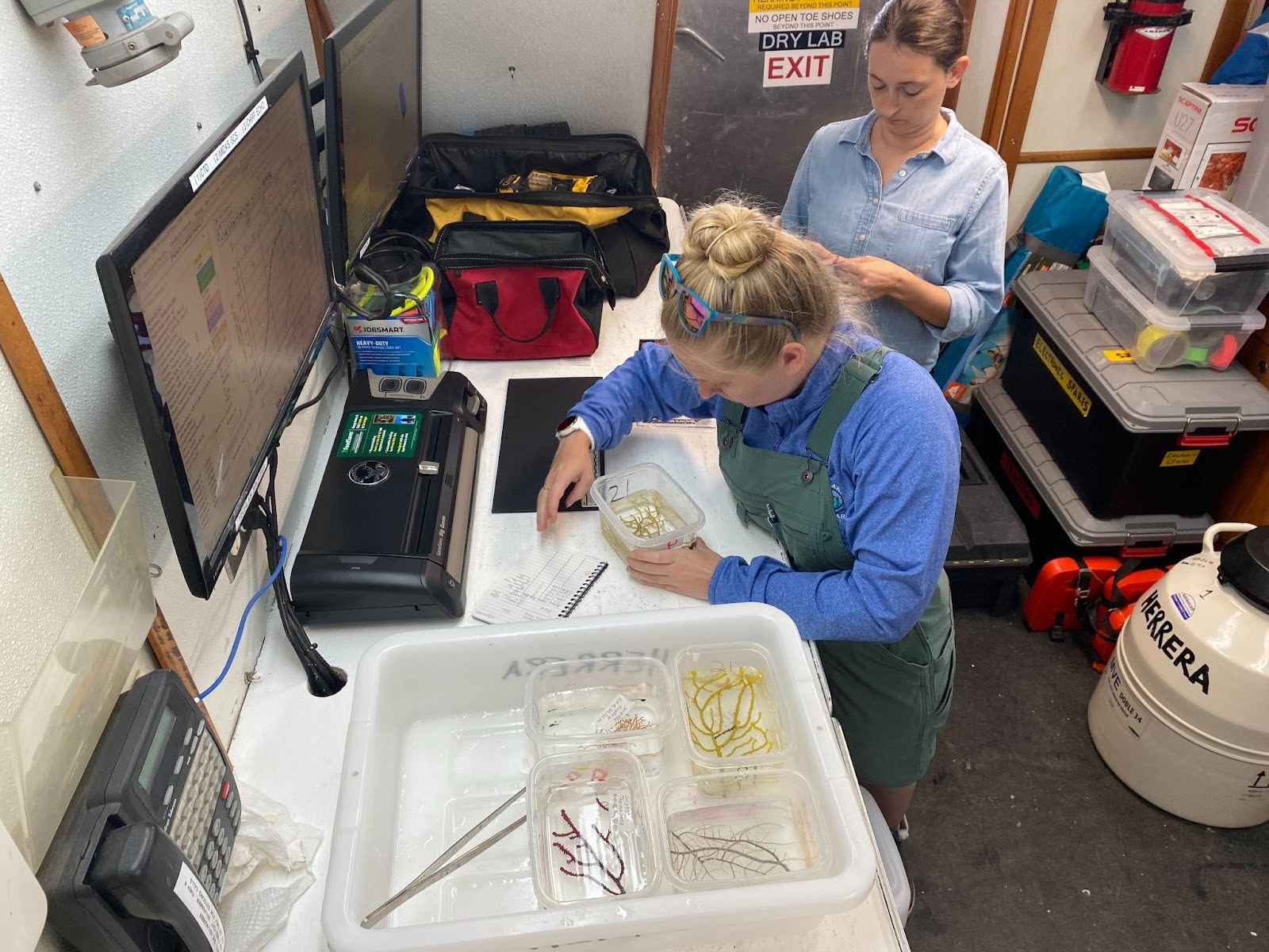 Two scientists sort and process samples of coral in a wet lab
