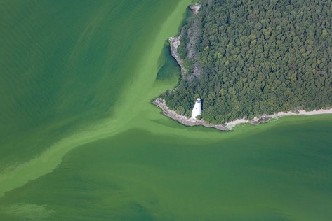Aerial view of harmful algal bloom near West Sister Lighthouse, Lake Erie from September 2017