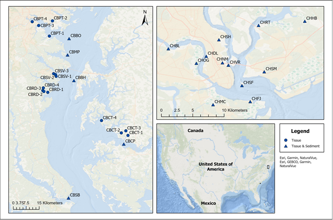 Map of sites sampled in Chesapeake Bay, Maryland, and Charleston Harbor, South Carolina, in 2015 as part of the NOAA Mussel Watch Program. 
