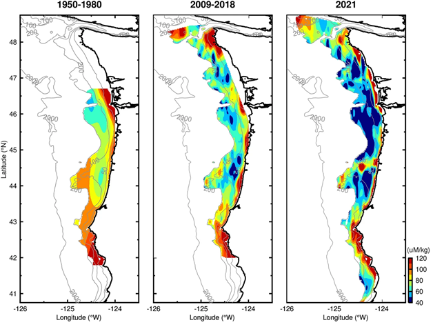 Three maps of near-bottom dissolved oxygen off the Pacific Northwest coast showing concentrations for three different time periods: 1950–1980, 2009–2018, and 2021.