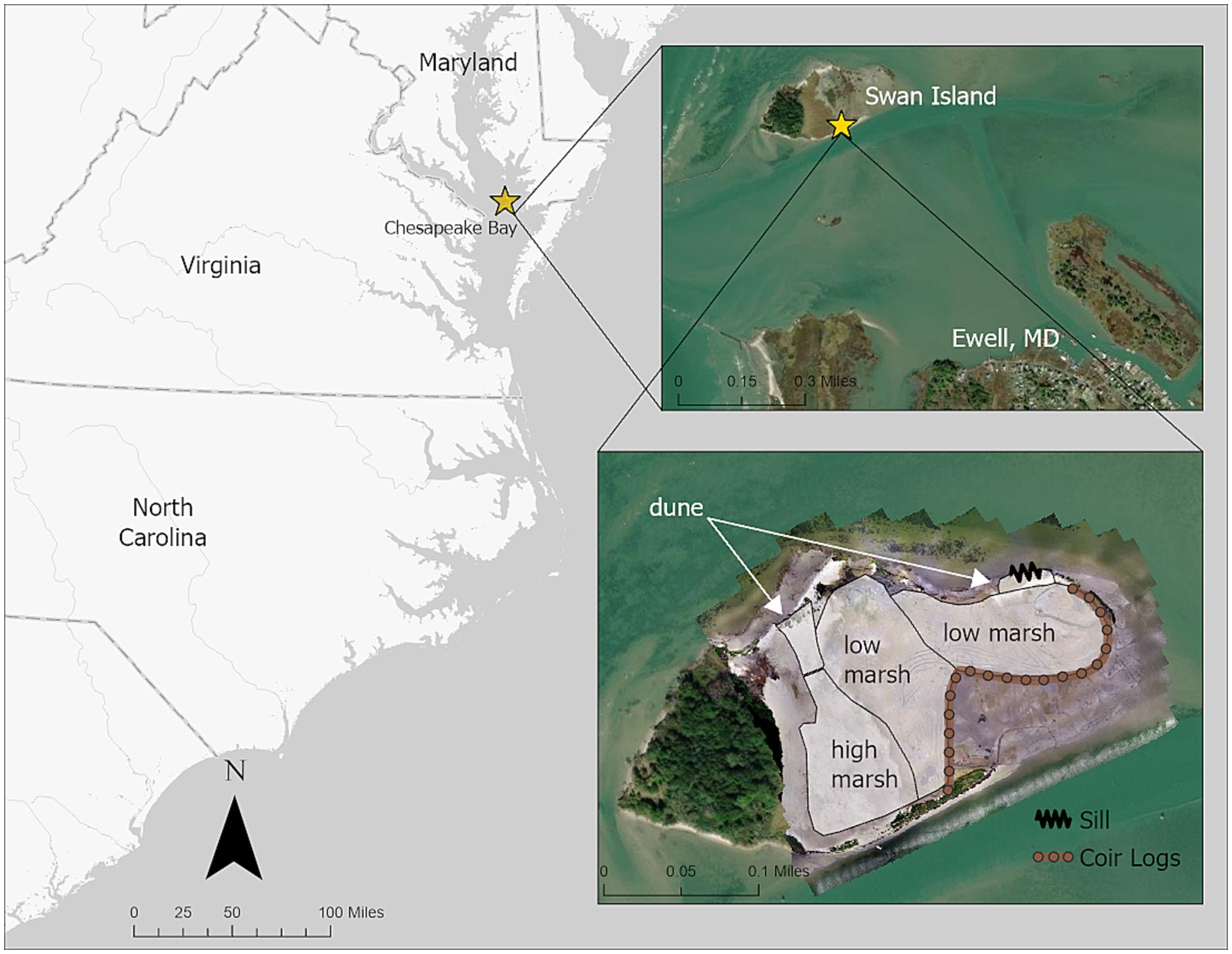 New Research Describes Performance of Nature Based Solution at Swan Island, MD