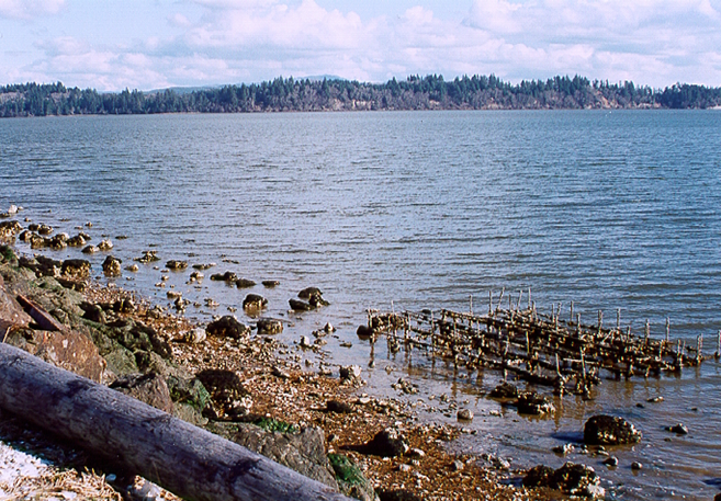 water meets rocky shore at a coastal Mussel Watch site in southern Washington.