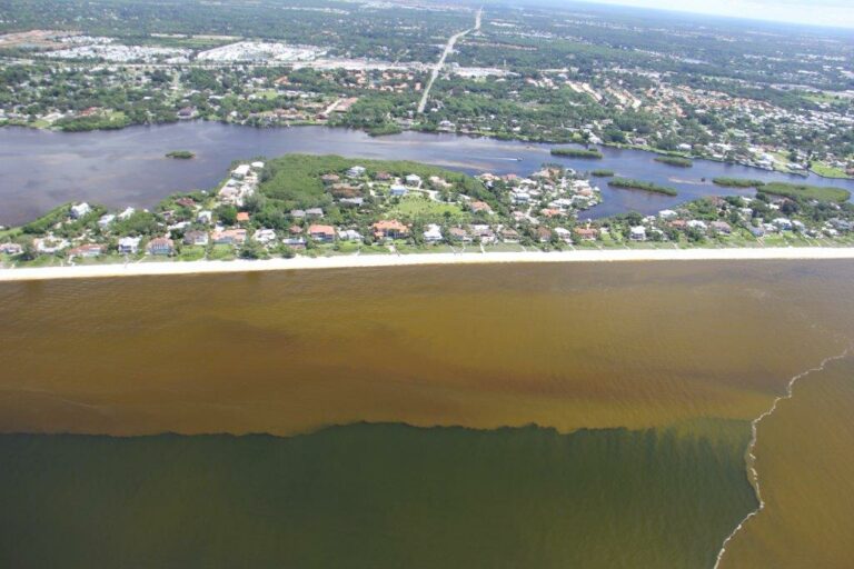Brownish red water along a populated coastline