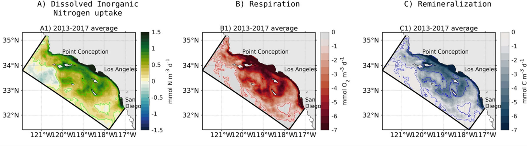 five year averaged maps showing consequence of eutrophication on biogeochemical processes of nitrogen uptake, respiration, and remineralization of organic matter. 