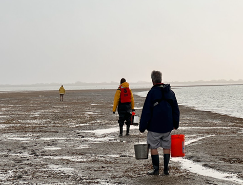 Three people walk in wet sand along a shoreline carrying equipment and buckets.