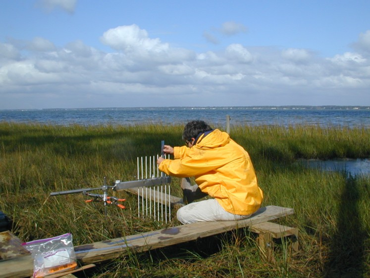 NCCOS researcher uses a surface elevation table to monitor elevation changes in a North Carolina salt marsh. 