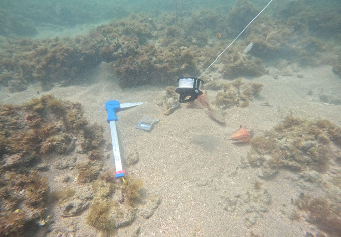 underwater scientific survey tools being used on a coral reef
