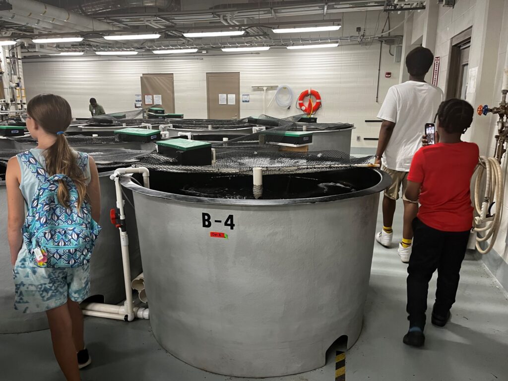 Four students walk around large tanks in a large room.