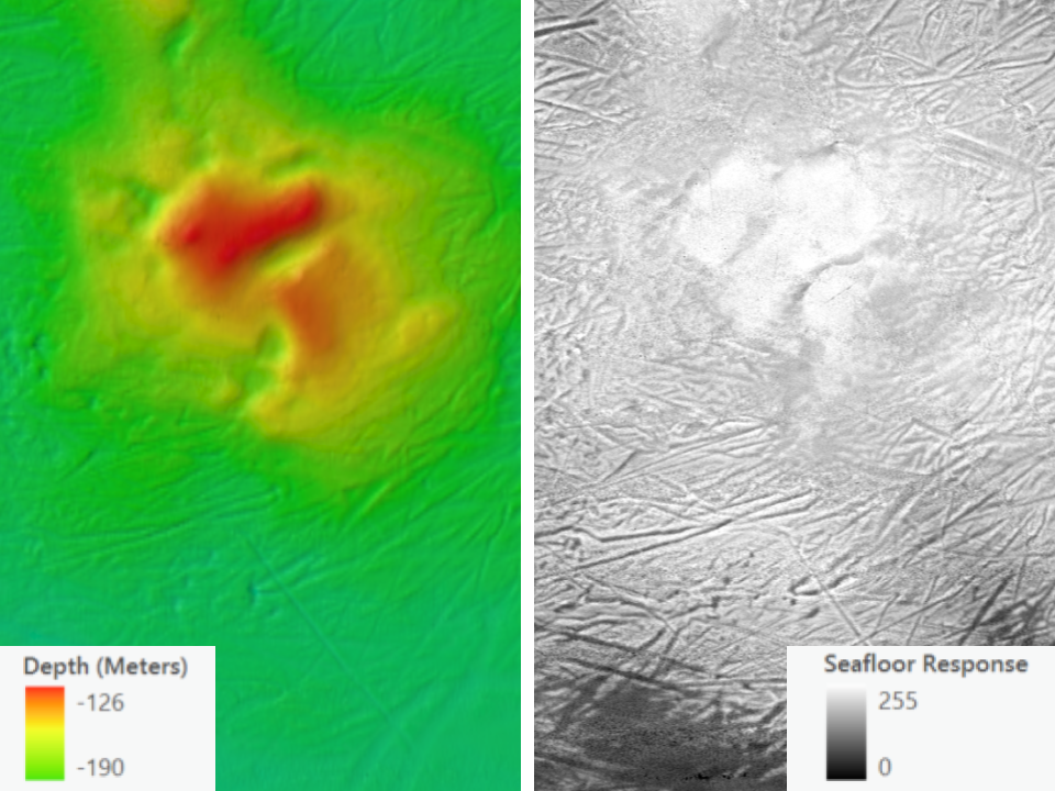 Side by side images showing seafloor topography and seafloor texture of the same mound.