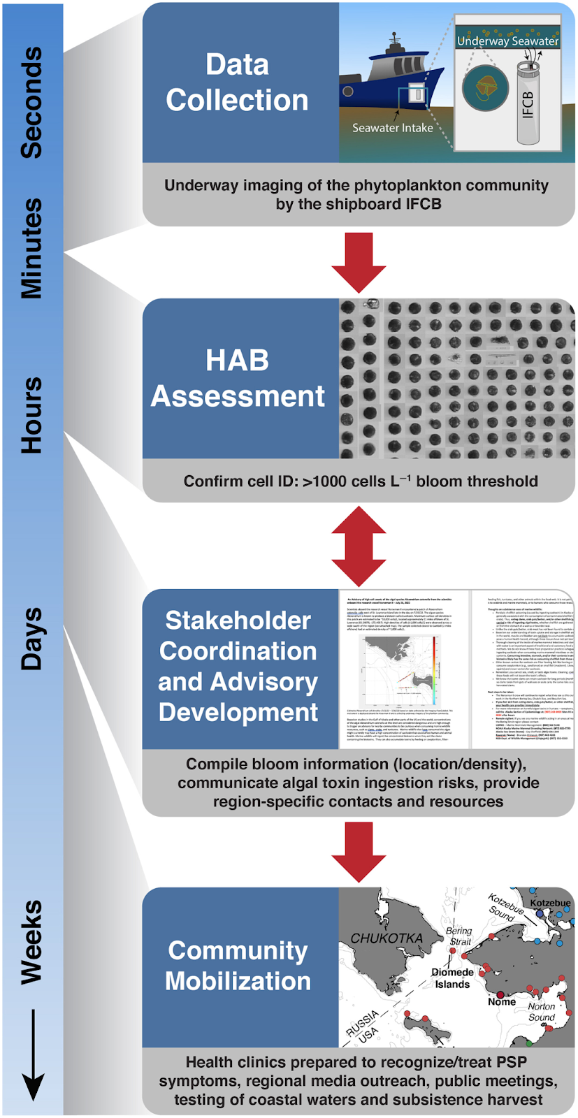 Graphic showing timeline and structure of rapid detection and risk communication information flow from shipboard HAB detection using an Imaging FlowCytobot (IFCB) to the regional coastal response 