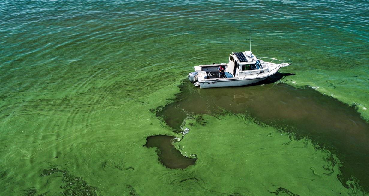 boat floating in thick, green water with a trail