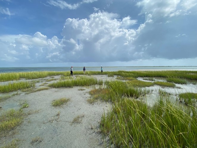 Three people walk in a sandy area with tall grass.