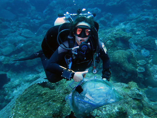 Dr. Alexis Sturm carries coral samples during a deep dive in Flower Garden Banks National Marine Sanctuary. 