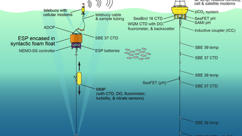 Graphic shows how instruments collect ocean data and transmit the information