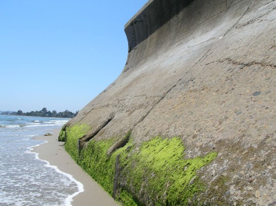 Concrete seawall along a beach